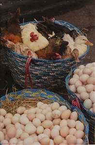 Image description is not available for 2009.082